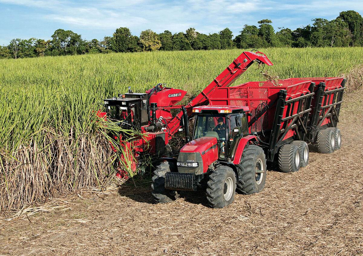 Sugar Cane Harvester Austoft 4000 | Case IH