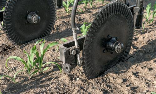 Maximize Your Nutrient Uptake