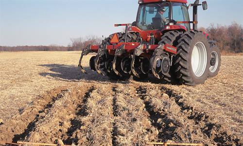 Superior Seedbed Environment