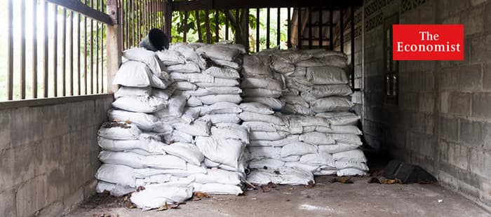 Lost in the maize: Why fertiliser subsidies in Africa have not worked
