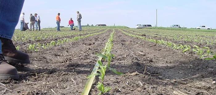 corn-planting.jpg