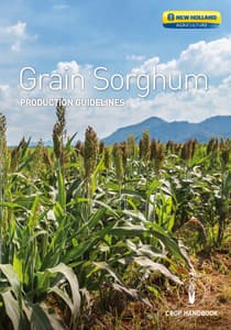 Grain Sorghum - Brochure