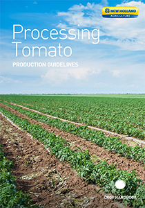 Processing Tomato -  Brochure