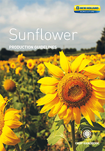Sunflower -  Brochure