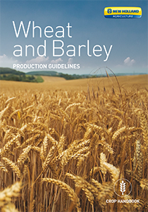 Wheat and Barley -  Brochure