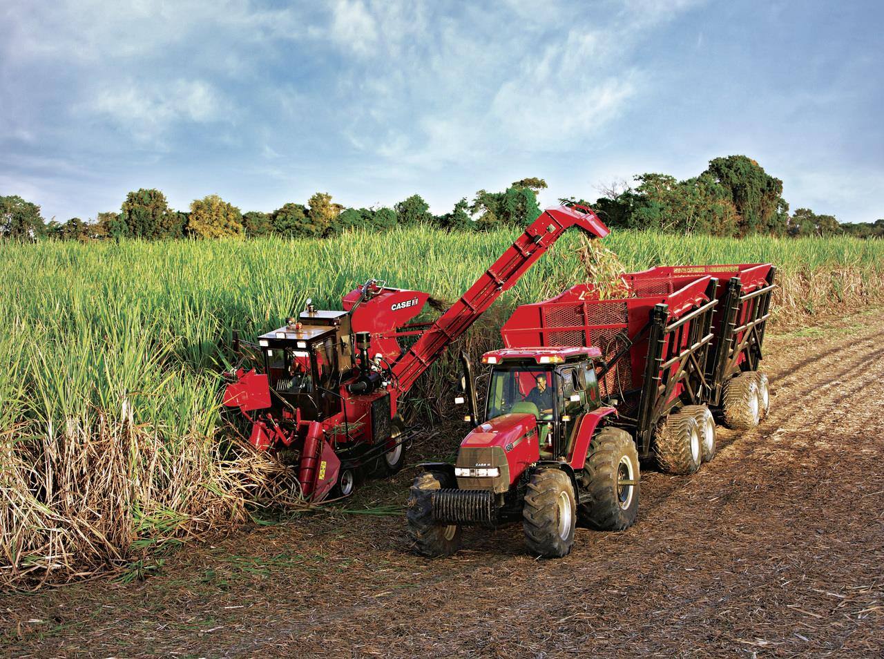 Sugar Cane IH Harvester Highlights Formation of International Harvester 
