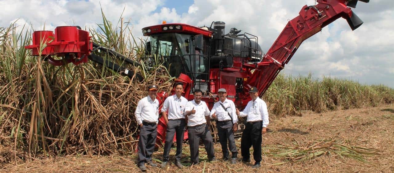 Case IH harvesters boost sugarcane production for Gunung Madu Plantation in Indonesia