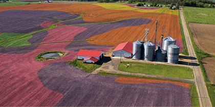 Farm management