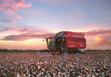 Cotton Express Cotton Pickers