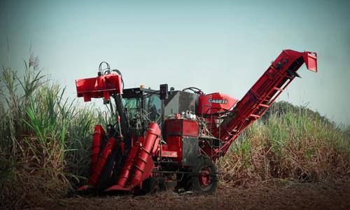 Better cutting quality, improved productivity<br> and longer stool life in the sugarcane field