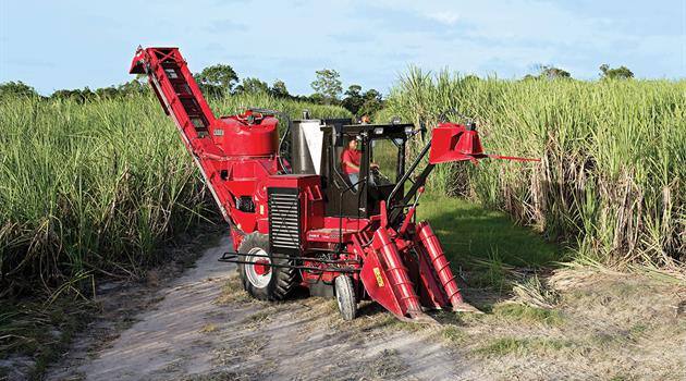 Sugar Cane Harvester Austoft 4000 Case Ih