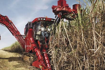 Sugar Cane Harvester Austoft 8000