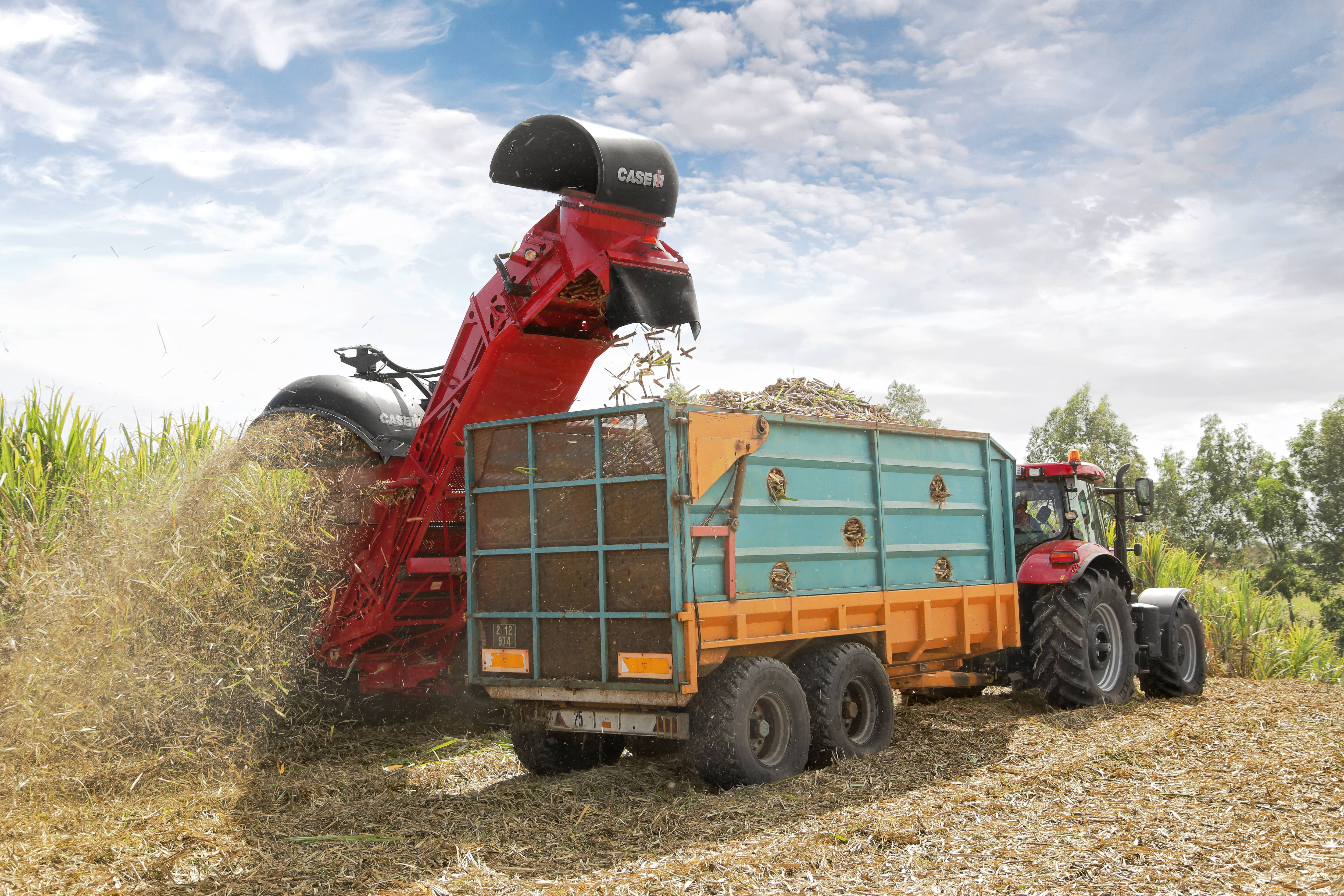 Sugar Cane Harvester Austoft 8000 | Case IH