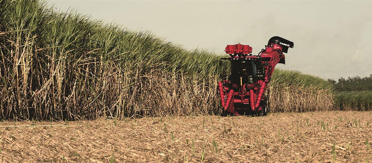 Sugar Cane Harvester Austoft 8010 - Productivity