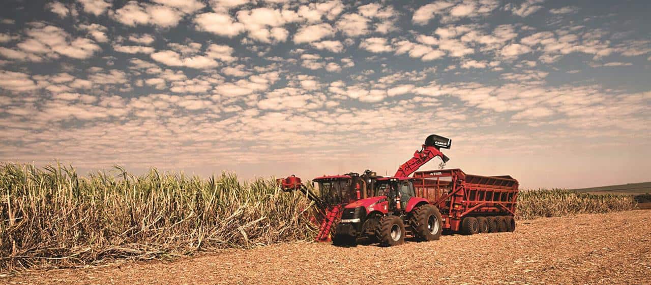 Sugar Cane Harvester Austoft 8010 - Robustness