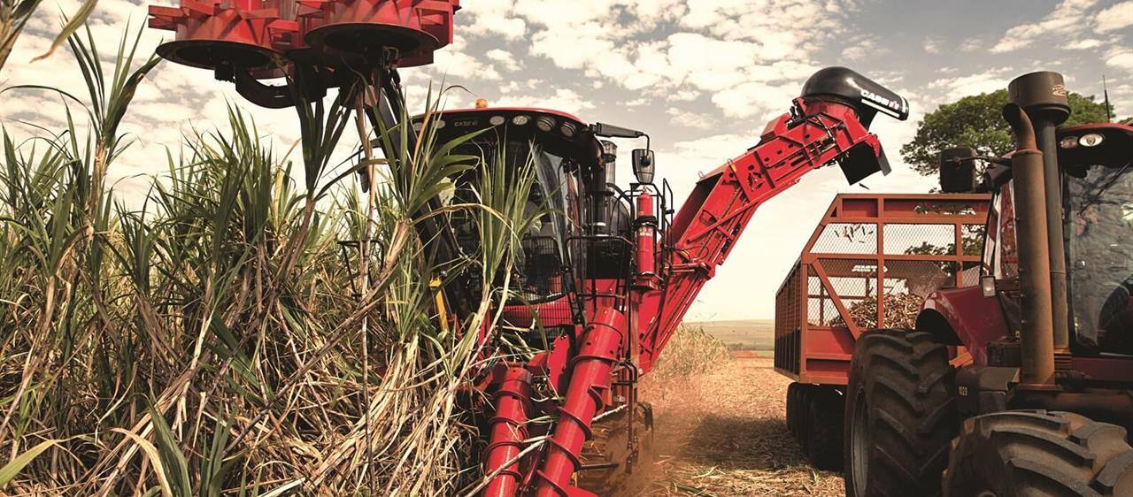 Sugar Cane Harvester Austoft 8010 - Productivity2
