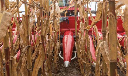 A Rugged Solution to Row Positioning