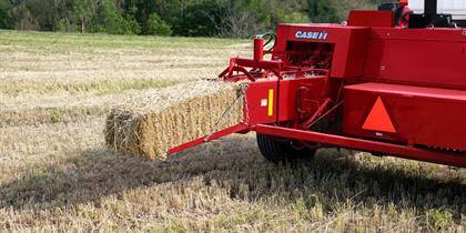 Small Square Balers