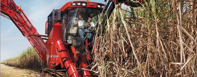 Austoft Sugar Cane Harvester