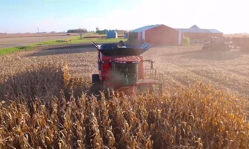 Producers Experience: The Case IH Narrow Row Corn Head