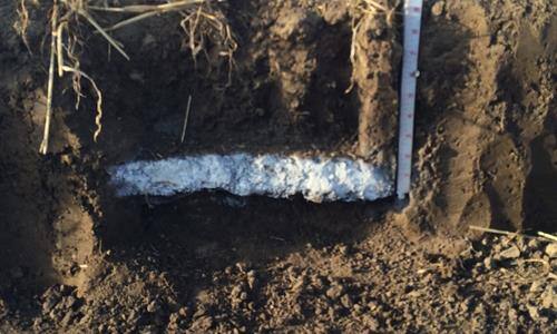 Ideal 50/50 Soil Composition