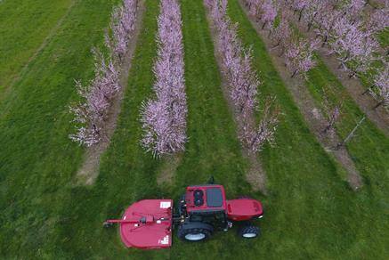 Farmall N Series  