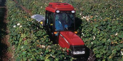 Farmall 75N