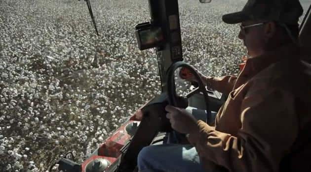 Cotton Picker Yield Monitoring