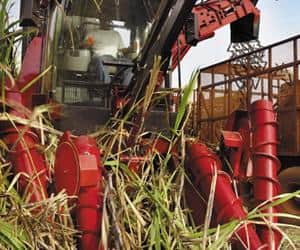 Sugarcane Harvester History Case IH Sugarcane Harvester History Case IH