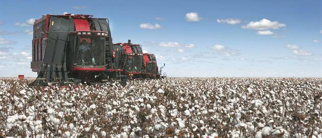 Cotton Picker