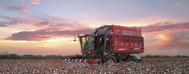 Cotton Picker