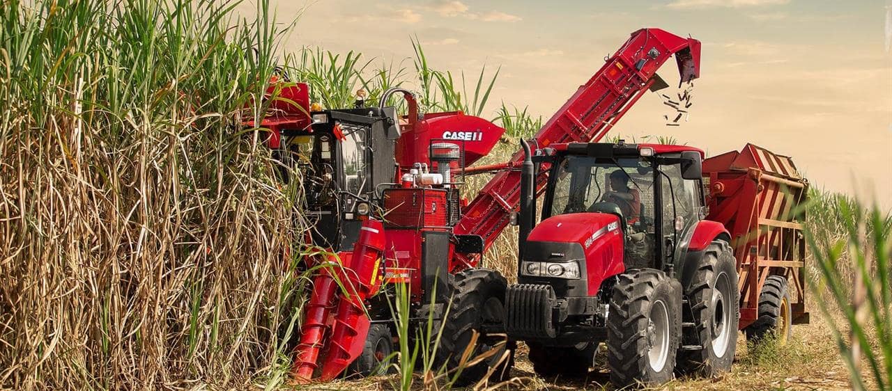 Watch the new Austoft 4000 Series Sugar Cane Harvester in action