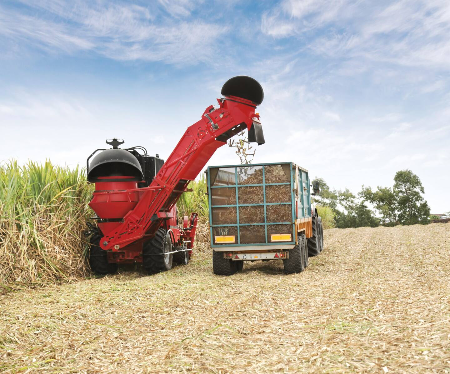 Sugar Cane Harvester 8000 Series | Case IH