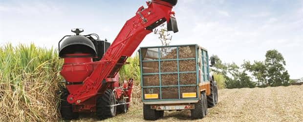 Sugar Cane Harvester 8000