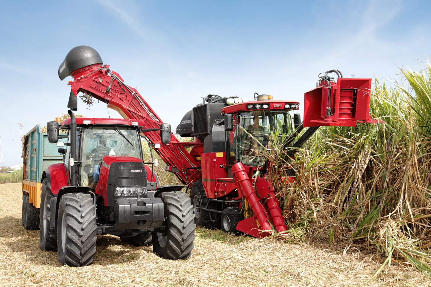 Sugar Cane Harvester 8000 Series | Case IH