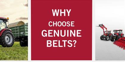 A genuine belt can save any situation.