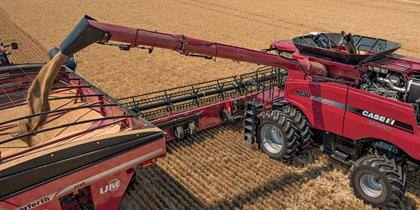 More Grain. Better Grain.