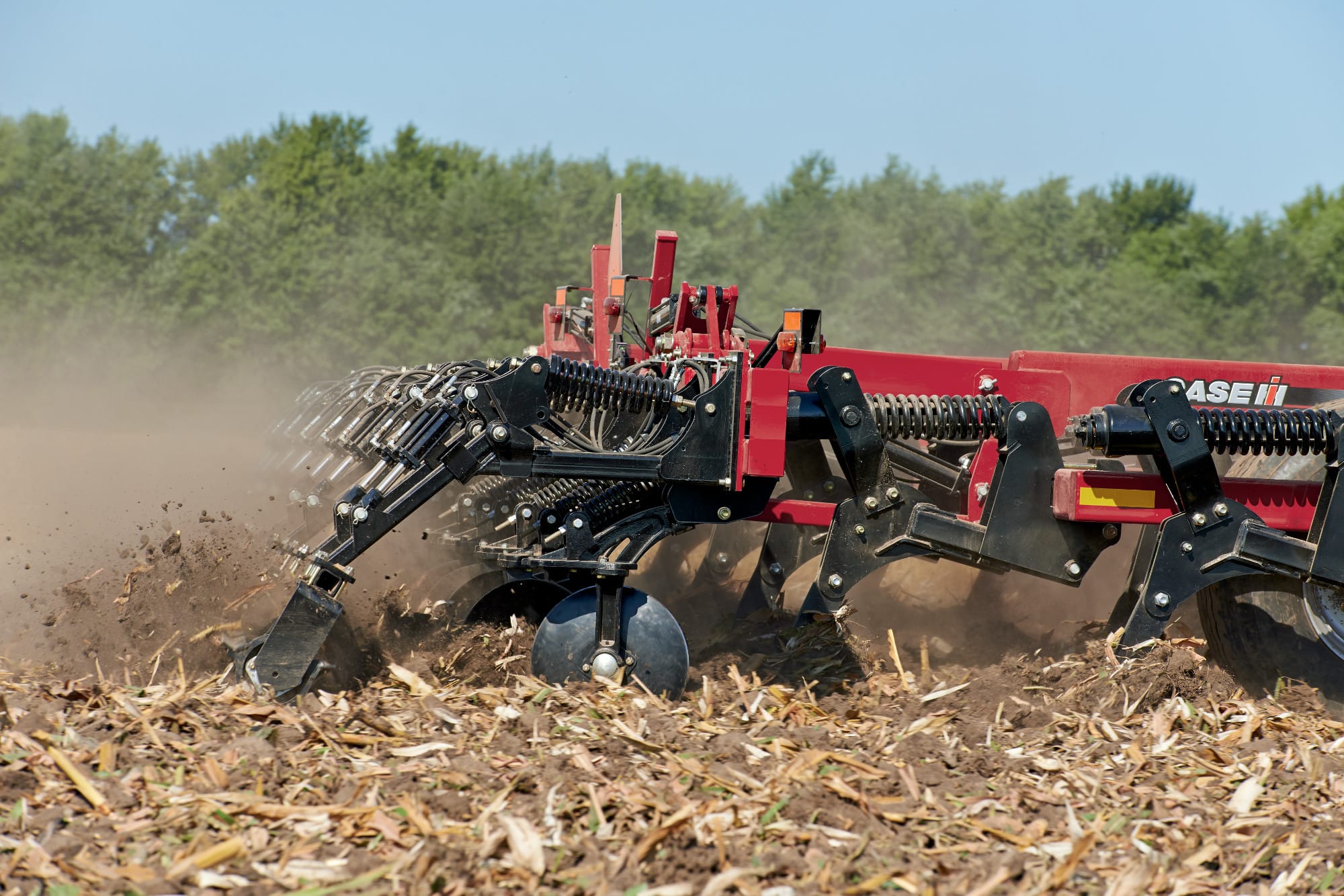Optimize Your Seedbed