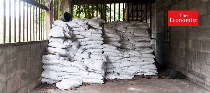 Lost in the maize: Why fertiliser subsidies in Africa have not worked