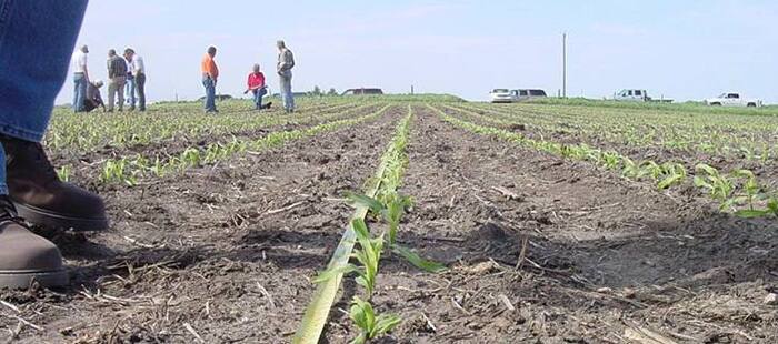 corn-planting.jpg