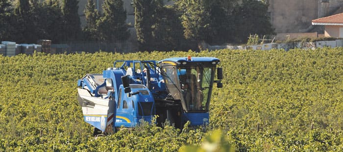 braud-grape-harvesters-more-power-and-efficiency-01.jpg