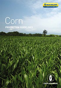 Corn -  Brochure