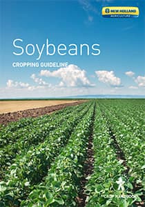 Soybeans - Brochure