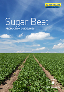 Sugar Beet -  Brochure