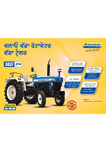 3037 - Brochure (Punjabi)