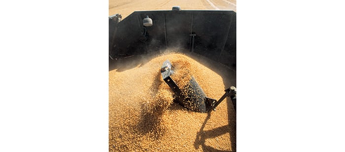 cx5000-cx6000-elevation-grain-handling-and-storage-02.jpg