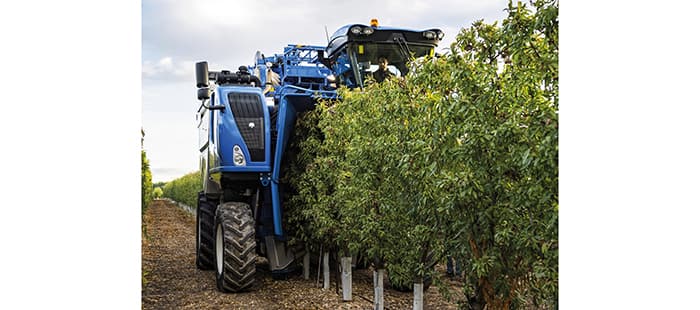 braud-9090x-olive-harvesting