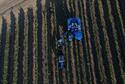 braud-9090x-grape-harvester-gallery