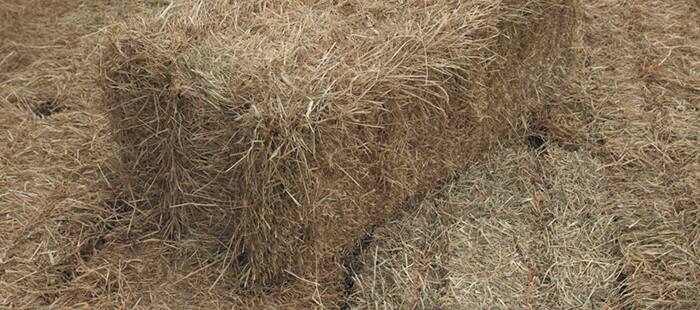 bc5000-bale-formation-02b.jpg