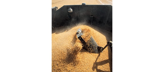 cx5000-cx6000-elevation-grain-handling-and-storage-02.jpg